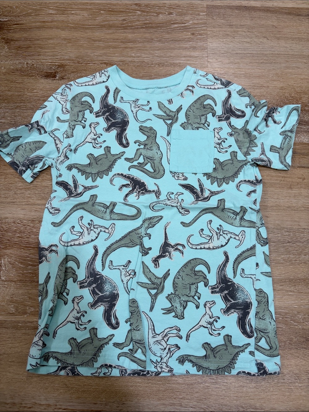jumping beans Light Aqua Dinosaur Pocket Tee